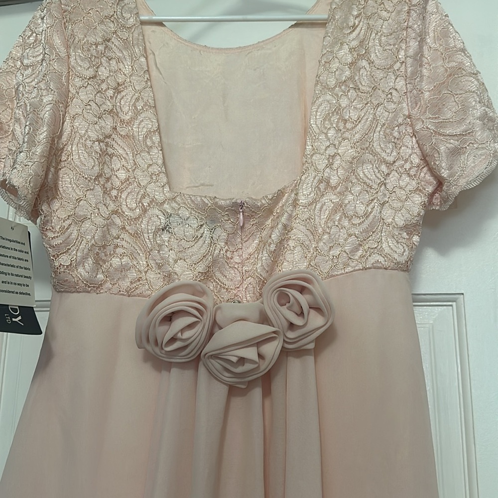 Light Pink Rhapsody Dress - Picture 5 of 6